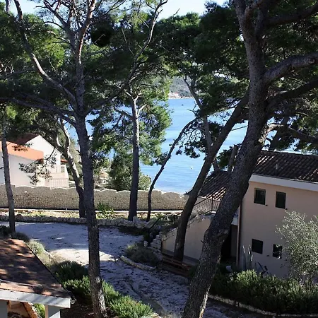 By The Sea - 3196 * روغوزنيكا